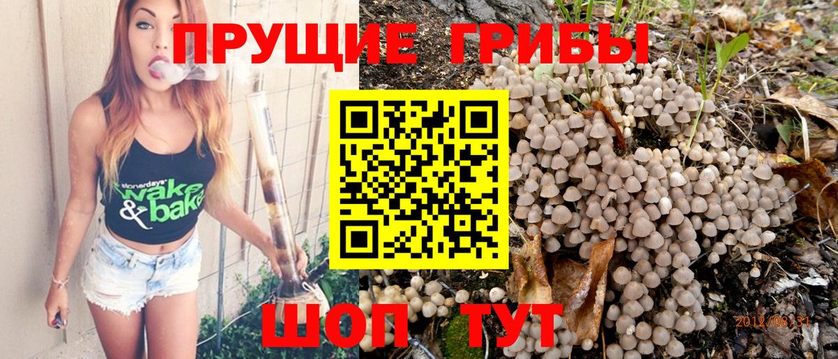 Галлюциногенные грибы Cubensis  Вход с VPN  Новочеркасск  Псилоцибиновые грибы мицелий 